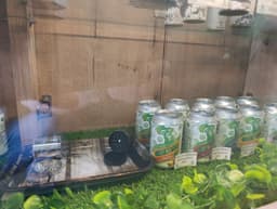 Cannafrica gallery image 2