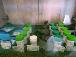 Cannafrica gallery image 4